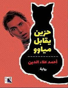 تحميل رواية حزين يقابل مياوو pdf – أحمد علاء الدين