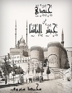 تحميل رواية جندي في جيش الباشا pdf – محمد معروف