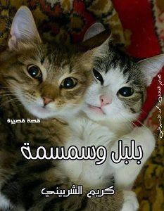 تحميل رواية بلبل وسمسمة pdf – كريم الشربيني