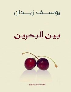 تحميل كتاب بين البحرين pdf – يوسف زيدان